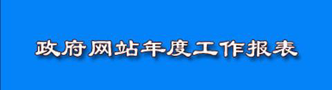 政府网站年度工作报表