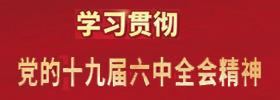 学习贯彻党的十九届六中全会精神